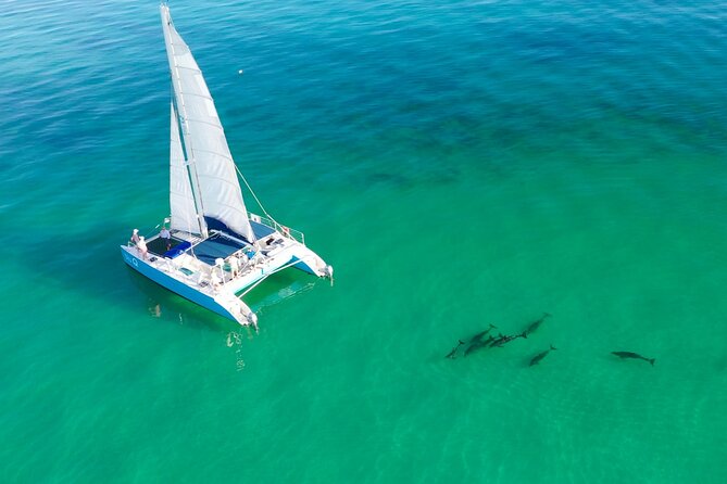 Kayak + Guided Snorkel & Morning Sail hosted by Honest Eco - Key Highlights You’ll Actually Feel On the Water
