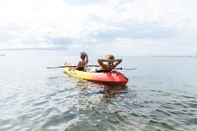 Kayak + Guided Snorkel & Morning Sail hosted by Honest Eco - Tandem Kayaking Through Calm Mangrove Water (and Then You Paddle)