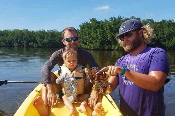 Kayak + Guided Snorkel & Morning Sail hosted by Honest Eco - Wildlife Spotting: Sea Turtles, Dolphins, and the Calm Way the Crew Handles It