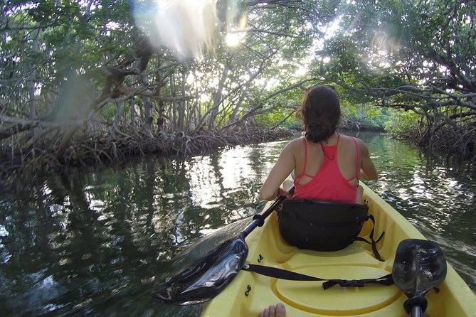 Kayak + Guided Snorkel & Morning Sail hosted by Honest Eco - Who Should Book This Tour (and Who Might Want a Different Day)