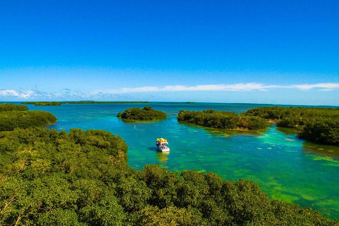 Kayak + Guided Snorkel & Morning Sail hosted by Honest Eco - Should You Book Honest Eco Kayak + Snorkel + Morning Sail?