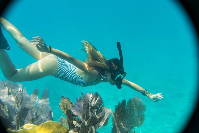 Kayak + Guided Snorkel & Morning Sail hosted by Honest Eco - Sand Key Reef Snorkeling and the Organic Snack Break That Matters