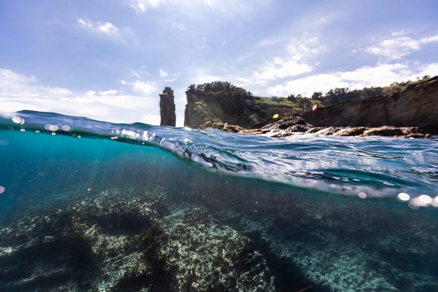 Kayak Guided Tour: Vila Franca do Campo Islet - Guides and safety: why the best ones make or break it
