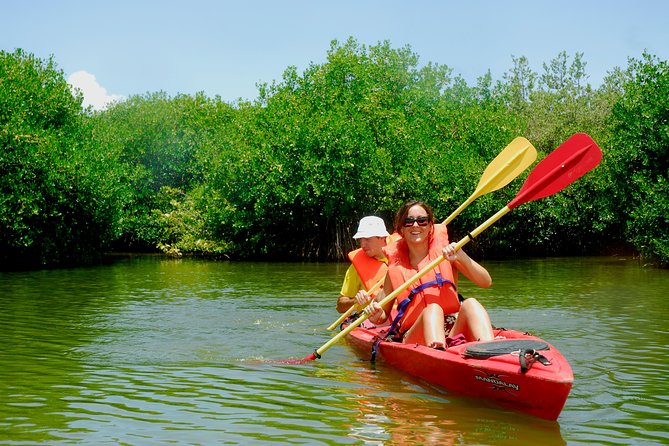 Kayak Lagoon Tour - Paddling St Martin/St Maarten lagoon: yachts, borders, and real color