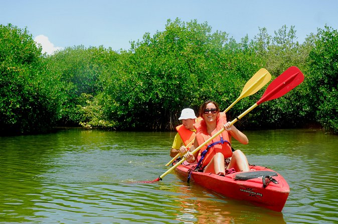 Kayak Lagoon Tour - Pacing and fitness: what moderate really means on the water