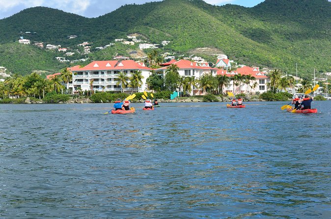 Kayak Lagoon Tour - Price check: why $50.26 can be a good deal here