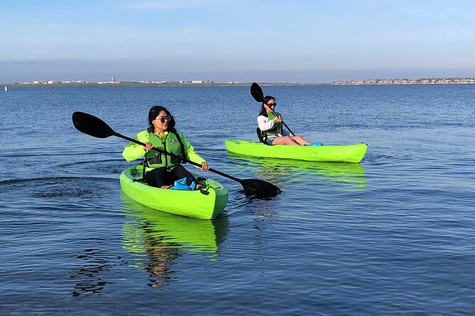 Kayak on the San Diego Bay - Price and Value: Getting a Guided Bay Experience for $20