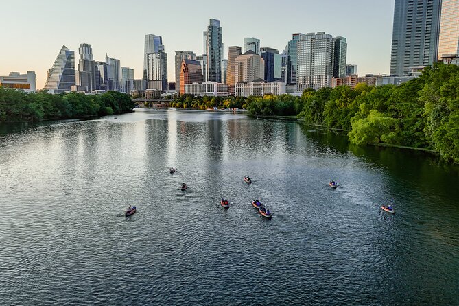 Kayak or Paddle Board Sunset Bat Tour - Key Things You’ll Notice on This Sunset Bat Tour