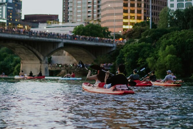 Kayak or Paddle Board Sunset Bat Tour - The Guides: Navigation, Facts, and Getting You to the Right Spot