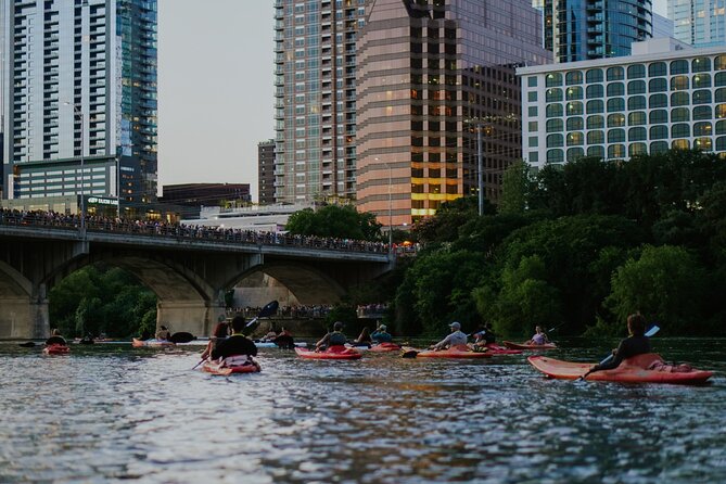 Kayak or Paddle Board Sunset Bat Tour - What’s Included (and What Isn’t): Gear That Lowers the Stress