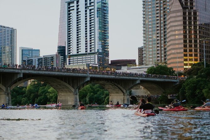 Kayak or Paddle Board Sunset Bat Tour - Who This Tour Is Best For (and Who Should Think Twice)