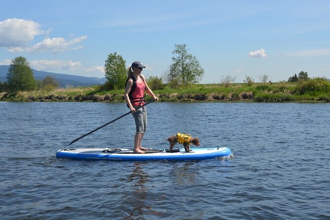 Kayak or Paddleboard Rentals Sosua , Cosita Rica, Neptuno Beach - Price and Value: What $55 per Person Actually Covers