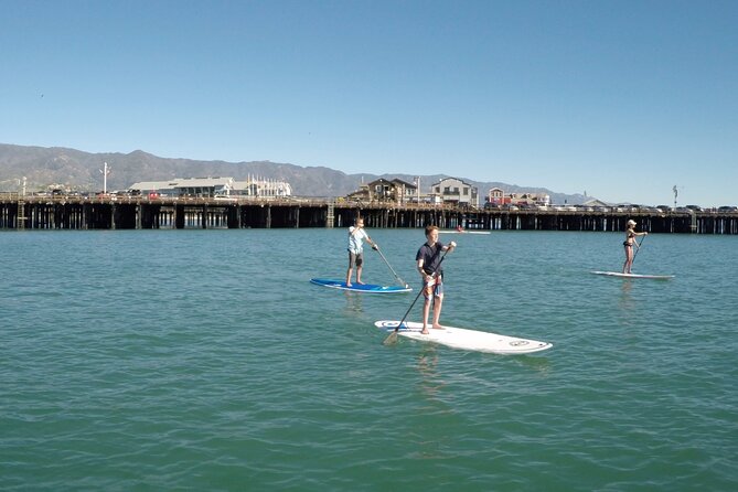 Kayak or Stand Up Paddle Board Rental - Seals, Buoys, and the One Tip You Should Not Skip