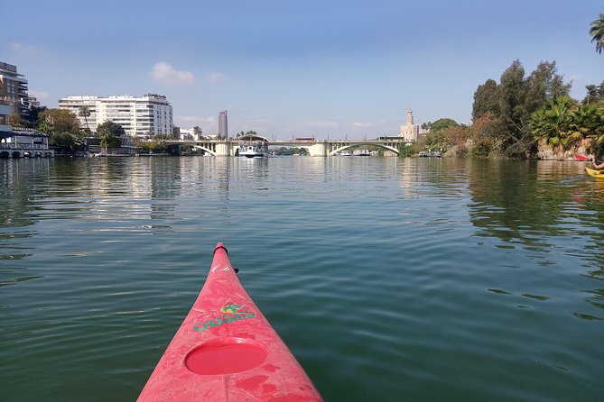 Kayak Rental - Value Check: Why This Rental Feels Like More Than a Quick Activity