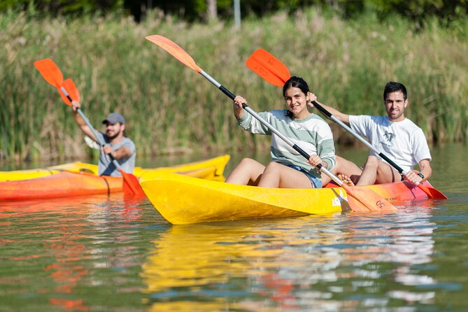 Kayak Rental - Potential Downsides (So You Don’t Get Surprised)