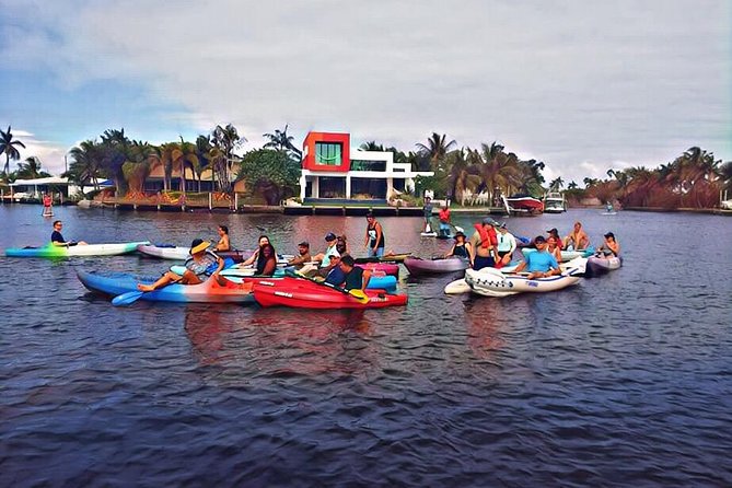 Kayak Rental: Explore Mangroves and Self-Navigated River Eco Paddle - Price and Time: What $29 Buys You on the Water