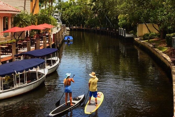 Kayak Rental: Explore Mangroves and Self-Navigated River Eco Paddle - Practical Tips for a Smooth Hour on the Water