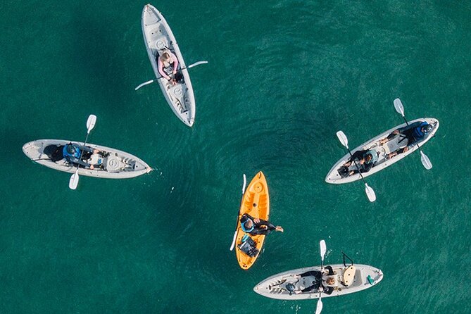 Kayak Rental for Two People in La Jolla - Safety Briefing That Actually Matters (And Makes the Boundaries Clear)