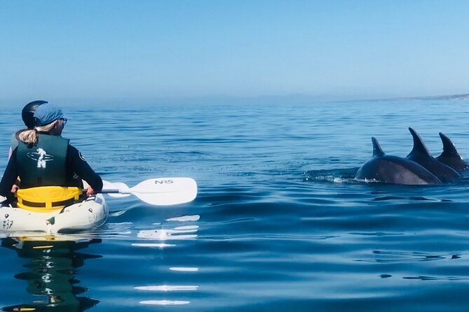 Kayak Rental for Two People in La Jolla - Getting Comfortable and Staying Dry (Gear Tips That Save Trips)
