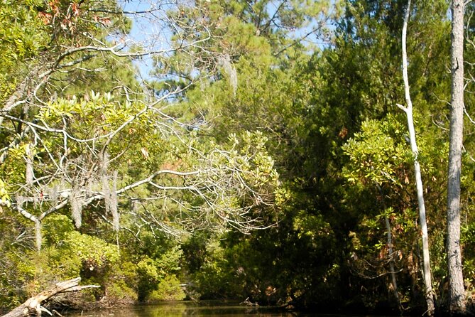 Kayak Rental on the Outer Banks - Key things to know before you rent a kayak in Kitty Hawk Woods