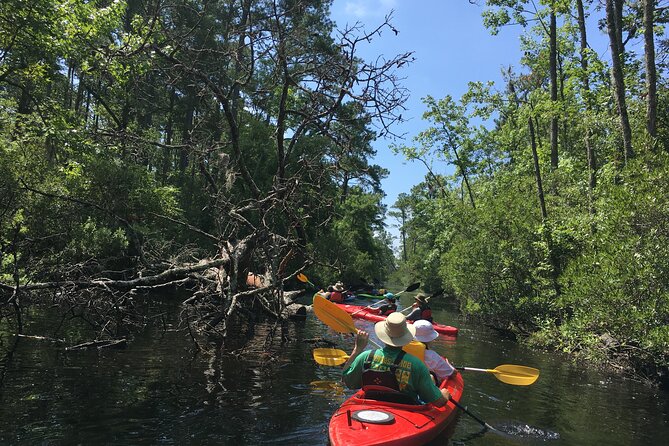 Kayak Rental on the Outer Banks - Equipment condition and comfort: what to consider before you go