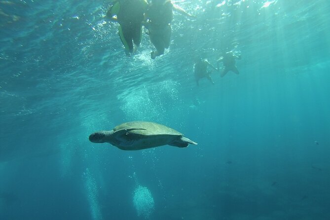 Kayak Route along the Volcanic Coast in Tenerife South with Snorkeling - Timing: what a 2.5-hour trip really feels like