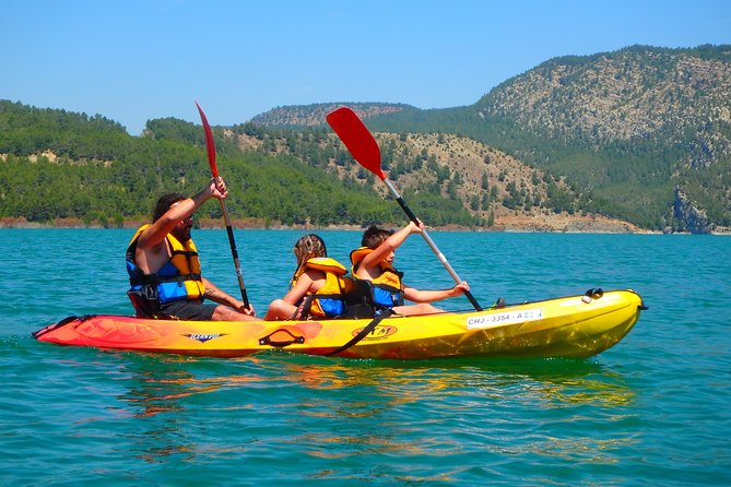 Kayak Routes In A Lake - Pine Forests, Quiet Shores, and the Wildlife Moment You Can Actually Notice