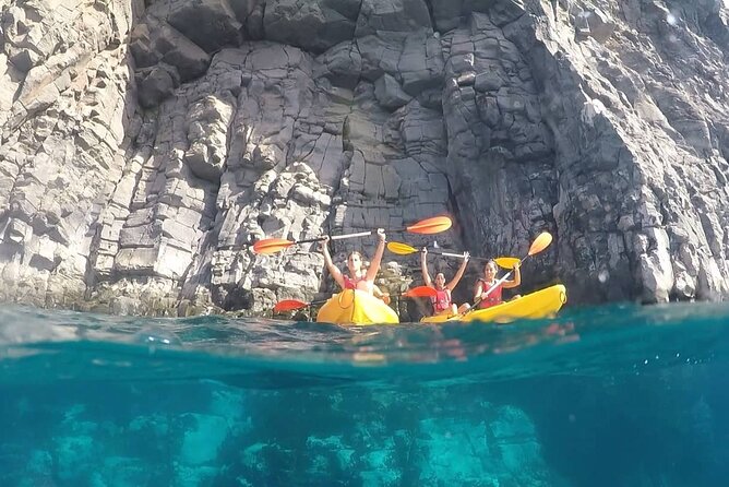 Kayak Safari with Dolphin and Turtle Watching in Guaza - Wildlife spotting for dolphins and turtles: how the guide boosts your odds