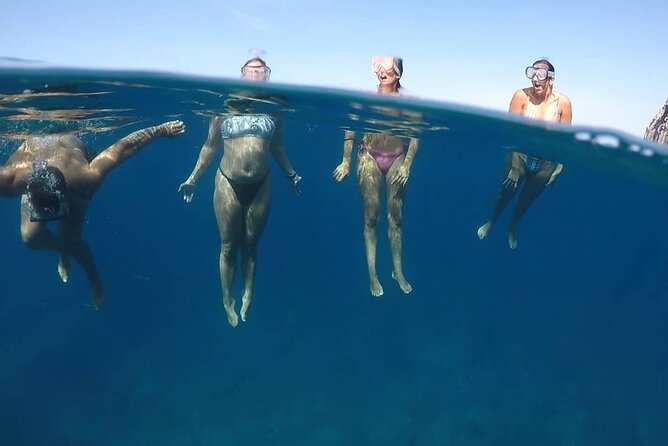 Kayak Safari with Dolphin and Turtle Watching in Guaza - Snorkeling with gear included: what you’ll actually do underwater
