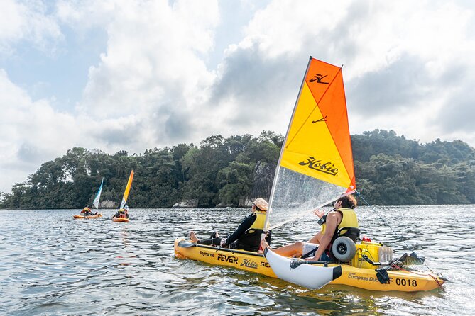 Kayak Sailing in Singapore, Mangrove, Kelong & Pulau Ubin, Seafood Meal Included - Price and value: what you really get for about $120