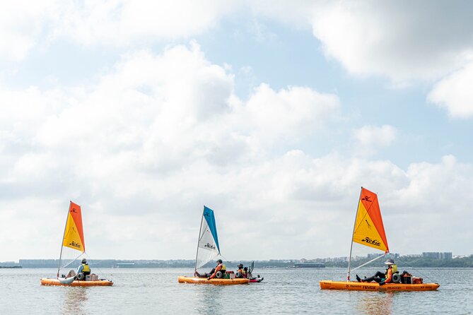 Kayak Sailing in Singapore, Mangrove, Kelong & Pulau Ubin, Seafood Meal Included - Who should book this kayak sailing day (and who might pass)
