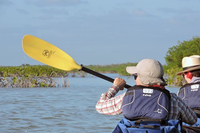 Kayak Sian Ka’an Biosphere Reserve Sunset Tour - Meeting point and practical timing (Tulum, 3:30 pm)