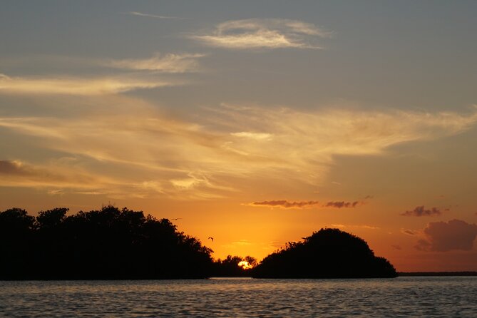 Kayak Sian Ka’an Experience - Stop 1 in Sian Ka’an Biosphere Reserve: mangroves, lagoons, and wildlife talk
