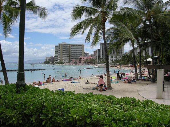 Kayak, Snorkel, and Surf with Turtles in Honolulu - Key Things That Make This Tour Worth Your Time