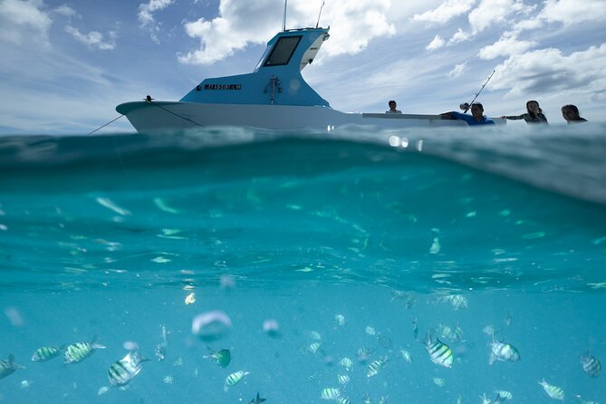 Kayak, Snorkel, and Surf with Turtles in Honolulu - Shane and Captain Neil: Local Instinct Meets Patient Instruction