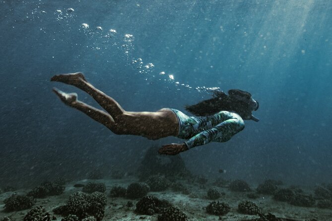 Kayak, Snorkel, and Surf with Turtles in Honolulu - A Shipwreck Stop in the Middle of Snorkeling Time