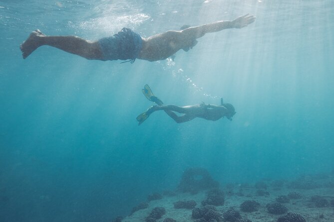 Kayak, Snorkel, and Surf with Turtles in Honolulu - Surf Like Kings of Old: The Full Hour on the Wave