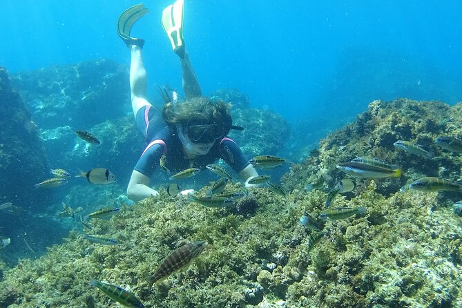 Kayak & Snorkel Tour in Cerro Gordo Natural Park, La Herradura - The Guide Factor: Friendly, Adaptive, and Close by