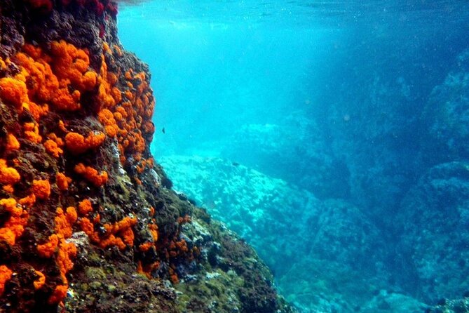 Kayak & Snorkel Tour in Cerro Gordo Natural Park, La Herradura - La Herradura Meets Los Acantilados de Cerro Gordo