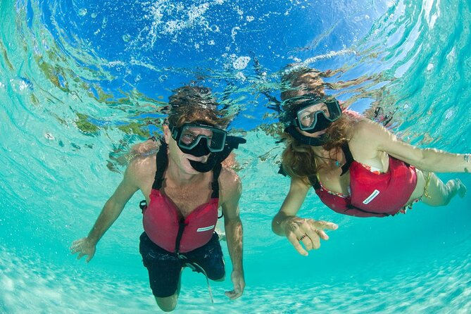 Kayak & Snorkel with Sea Turtles, National Park, St. John - Turtle Point hike: shade, plants, and animals you might actually spot