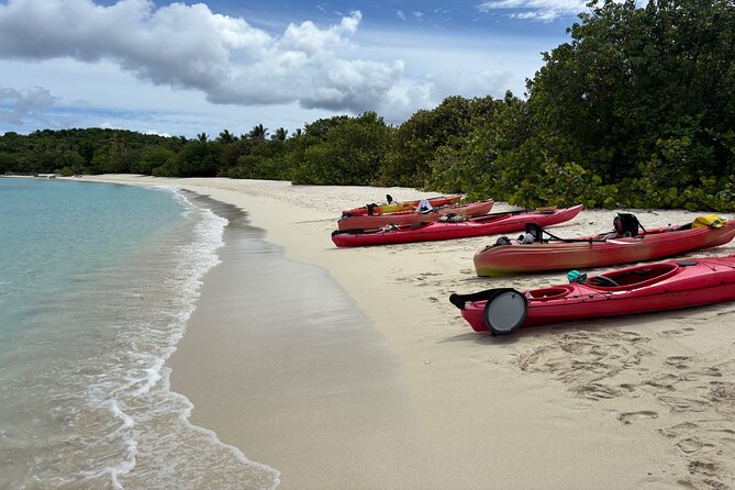 Kayak & Snorkel with Sea Turtles, National Park, St. John - Snorkeling with sea turtles in the seagrass: what to watch for