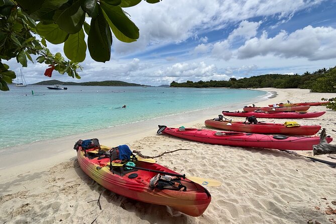 Kayak & Snorkel with Sea Turtles, National Park, St. John - Who should book this sea turtle kayak-and-snorkel tour