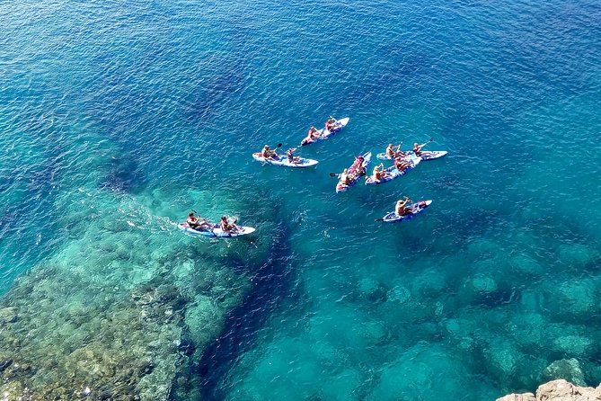 Kayak & Snorkelling in Papagayo - Playa de Papagayo Stop: Snorkeling That Can Surprise You