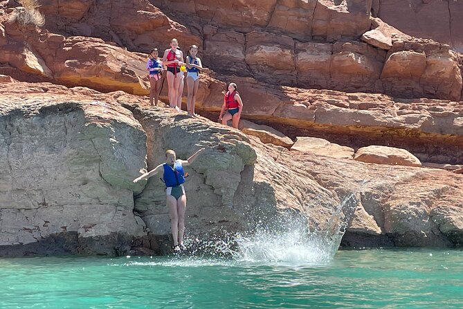 Kayak/SUP Tour: Birds, Beavers, Turtles, maybe even Cliff Jumping - Wildlife chances without the pressure