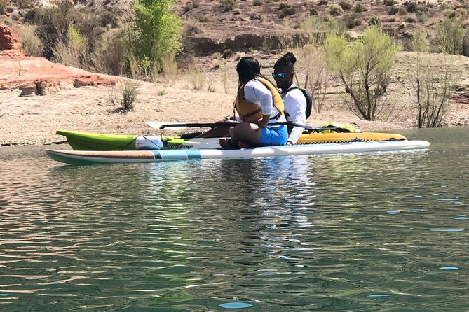 Kayak/SUP Tour: Birds, Beavers, Turtles, maybe even Cliff Jumping - Meet Dig Paddlesports: how the guide experience shapes the day