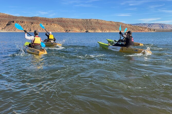 Kayak/SUP Tour: Birds, Beavers, Turtles, maybe even Cliff Jumping - What’s included in your $70 ticket (and what costs extra)