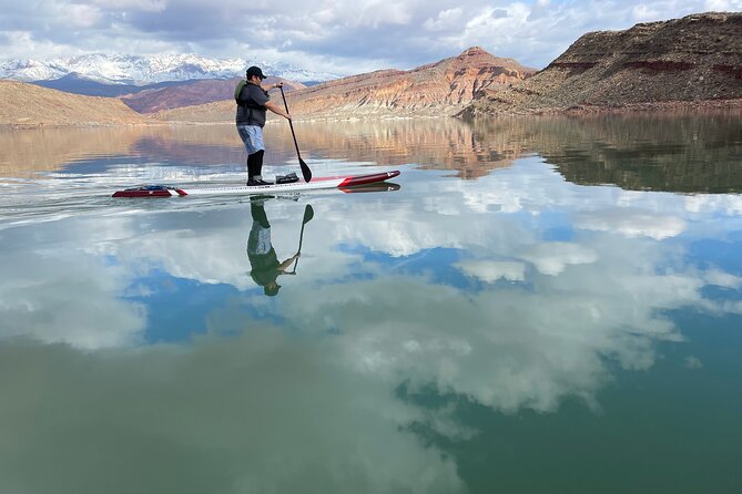 Kayak/SUP Tour: Birds, Beavers, Turtles, maybe even Cliff Jumping - Kayak vs SUP: which one suits you better?