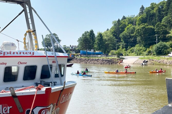 Kayak the Bay of Fundy Sea Caves - Key Highlights You’ll Care About