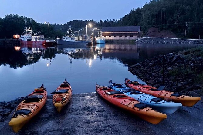 Kayak the Bay of Fundy Sea Caves - Price and Value: Is $76.26 a Good Deal?