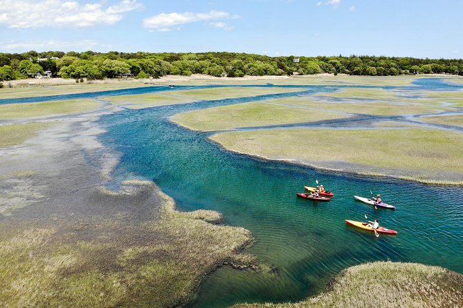 Kayak The Creek Nature Tour - Key points before you go